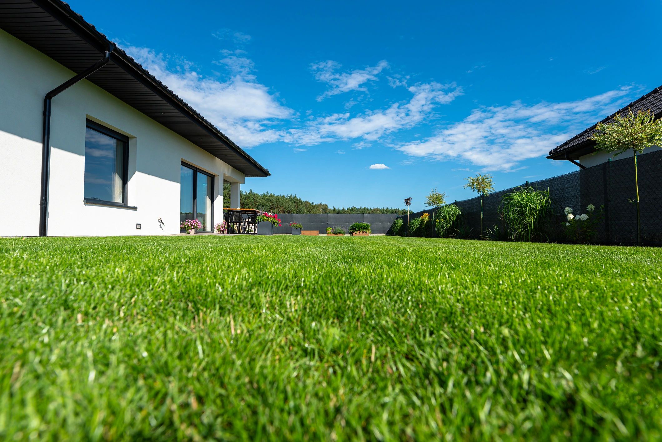 Residential lawn with healthy green grass